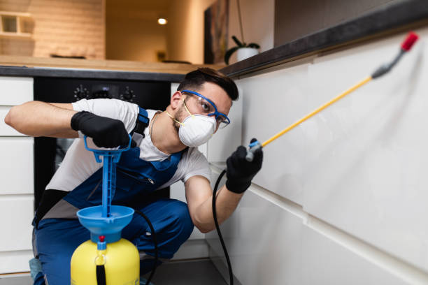 Best Mosquito Control Services  in Mason, TN