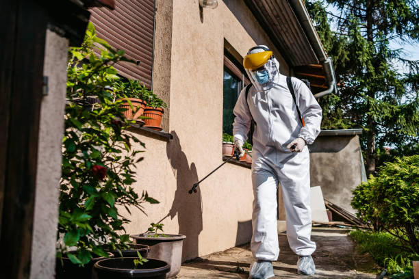 Best Residential Pest Control  in Mason, TN