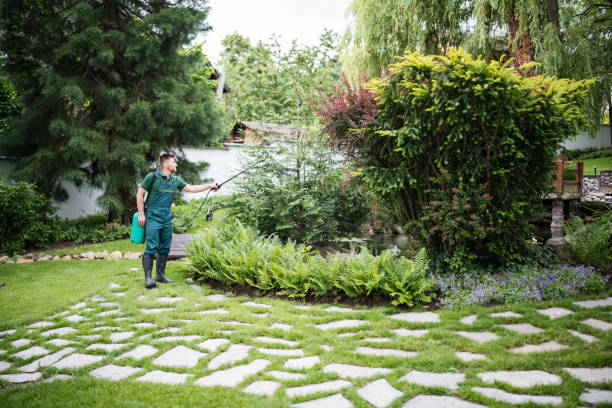 Best Pest Control Cost  in Mason, TN