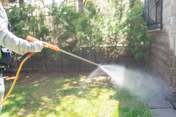 Best Pest Prevention Services  in Mason, TN