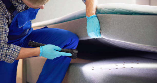 Best Wasp Removal Services  in Mason, TN